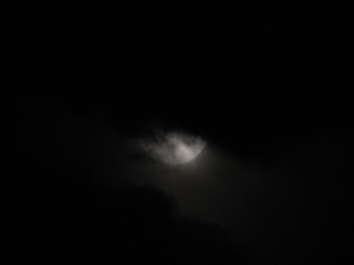 1118829