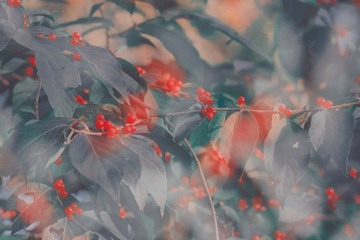AE245C01-D3F5-4FA4-B99D-DD17559C693B/L0/001