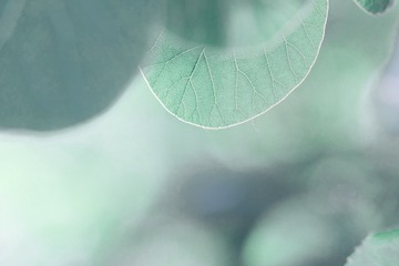 2FA5AE54-B6AA-4881-82F2-CDAE05D4C89E/L0/001
