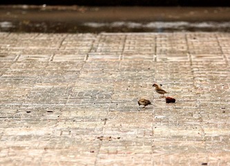 IMG_0846修.jpg