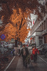 E5F99B78-85C4-4AD2-9289-D7D70F3E0C5E/L0/001