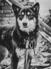 D797777C-FD12-4CB1-9ECC-507D12829194/L0/001