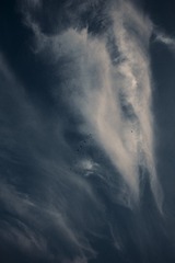 C628B8BE-DE5D-4E3D-BB3C-C2A70E98C808/L0/001