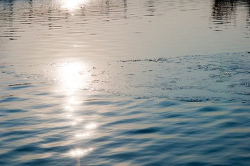 DSC_4234.jpg