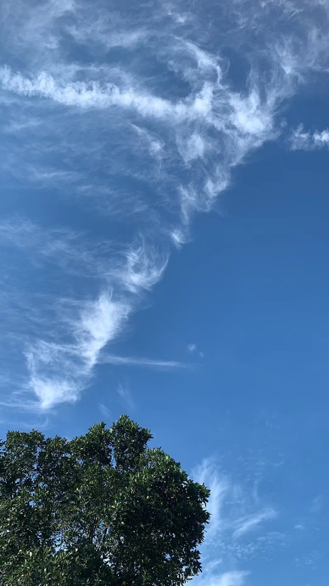 多久没好好仰望这片灿烂的天空了