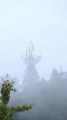 _MG_0192