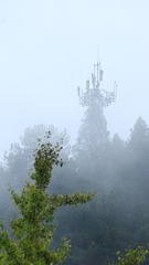 _MG_0196