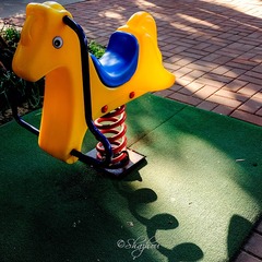_DSF4959