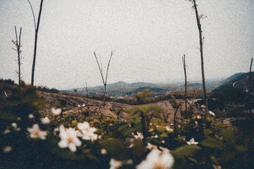 F1D9F5AD-C1C7-4717-A5DD-CB216D5DA408/L0/001