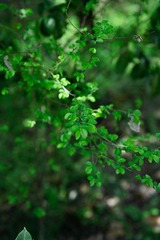 01DDFD6B-43DF-4B84-BB59-2D3C010112AF/L0/001