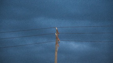 F407251C-9920-4C0D-94A3-3A4E731B7690/L0/001