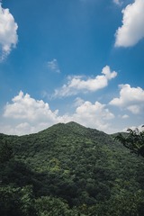 CC7A7E62-AA0A-4741-8320-CD4262C07517/L0/001