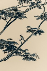1906687