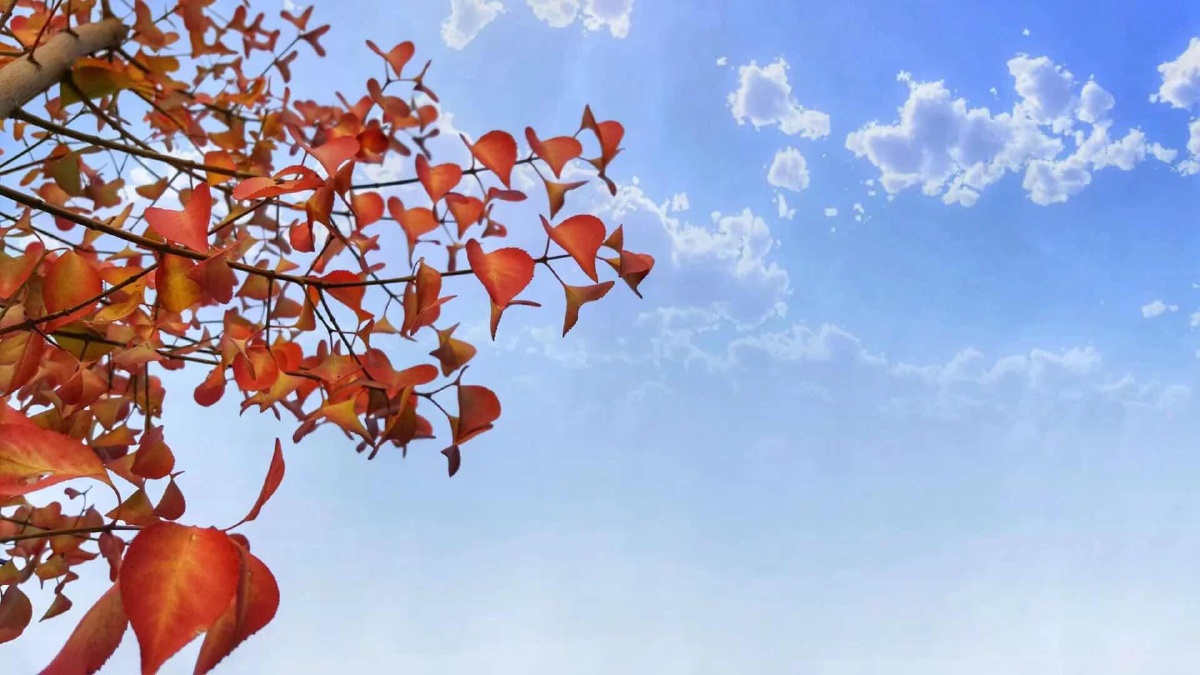 我们好像在哪儿见过