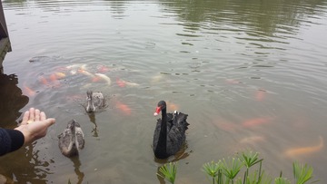 7707