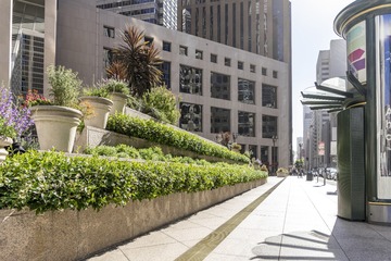 DPP_061