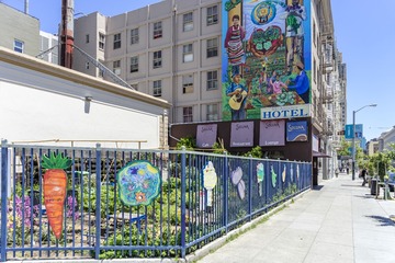 DPP_064