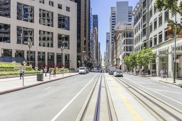 DPP_081