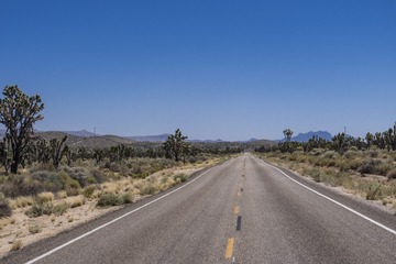 DPP_106