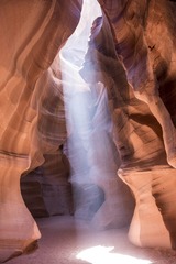 DPP_117