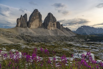 DPP_129