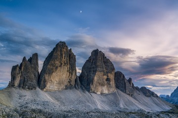 DPP_131