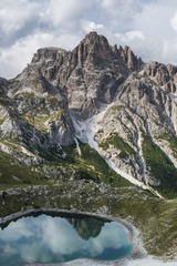 DPP_133