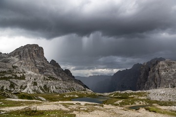 DPP_135