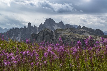 DPP_138