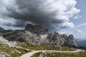 DPP_142