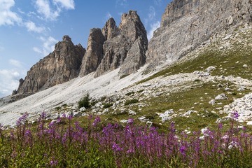 DPP_146