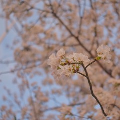 1E5AD3F0-B77E-4159-A87E-EF31C830D916/L0/001
