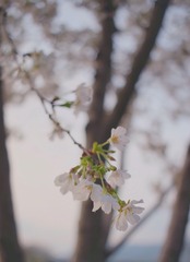 3F412CBE-3873-42B6-88EE-9C846F346068/L0/001