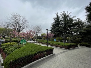 421A313B-11EC-4394-8C69-3CD3B9D3FF72/L0/001