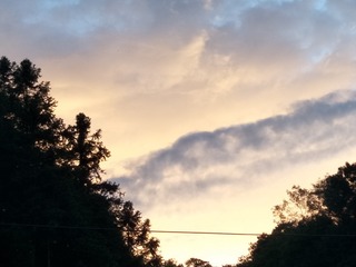 538832