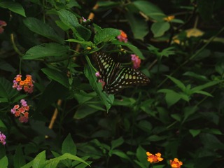 22357F00-CD0B-478E-912D-C5D9311E85B5/L0/001