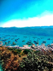 4B75989C-D7C1-490D-9E4D-88BE022CD125/L0/001