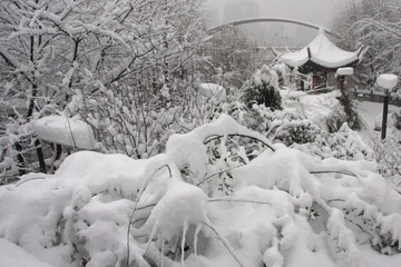照片 199