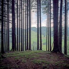 valerio_1 GER AUS