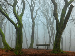 8. A Misty View-3000k