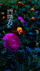 D67D08C0-D363-4C43-AE4C-709DACAA776D/L0/001