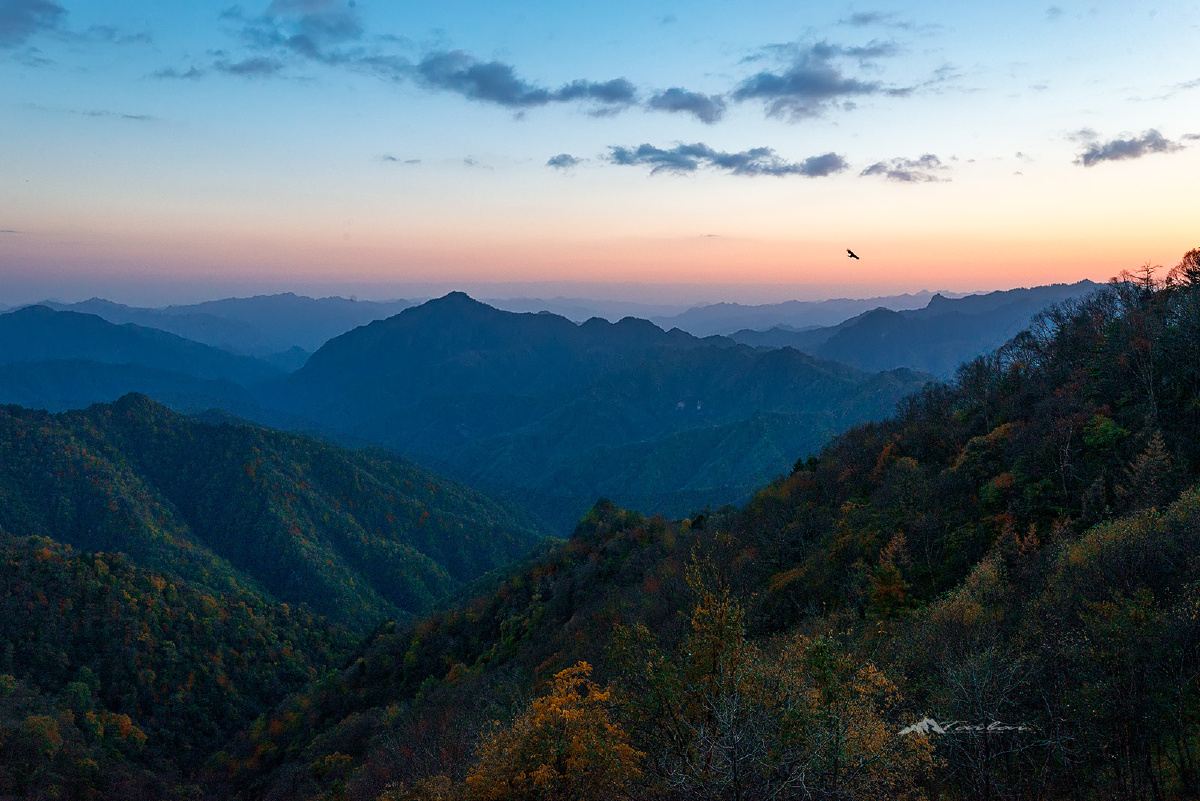 秦岭风光一黄柏塬