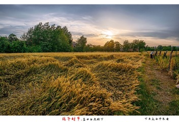 _DSC5145-编辑