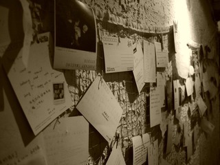 P1000810.JPG