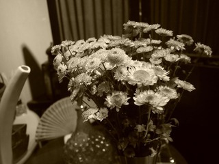 P1000824.JPG