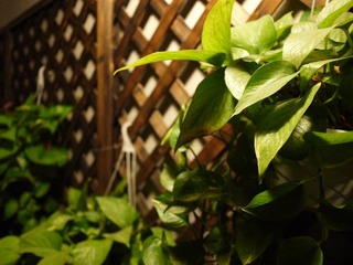 P1000837.JPG