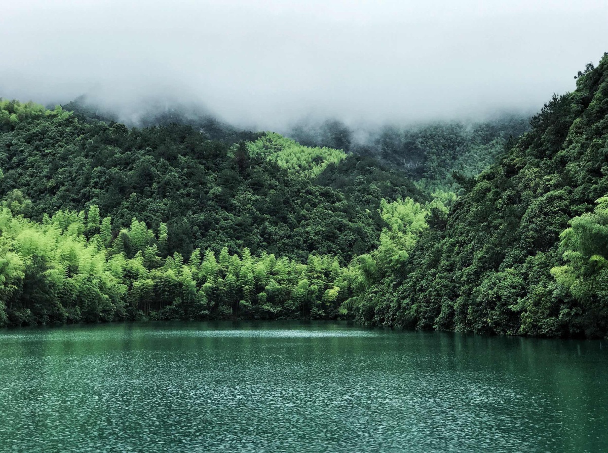 龙坞水库