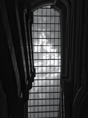 0B764579-4540-4E87-9294-F2D9C5DAF5AD/L0/001