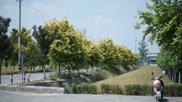 41C4015F-D80E-488A-B7F9-C198F26C9D81/L0/001