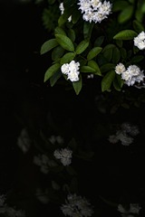 248163